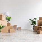 A,Lot,Of,Cardboard,Boxes,With,Stuff,And,Plants,On