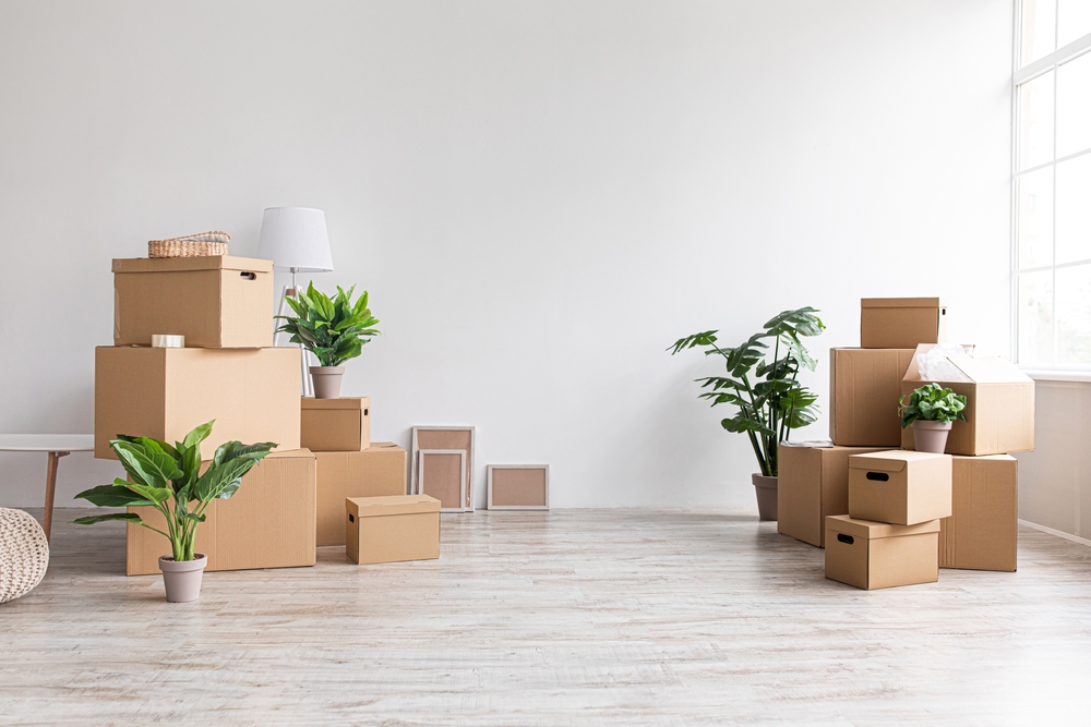 A,Lot,Of,Cardboard,Boxes,With,Stuff,And,Plants,On