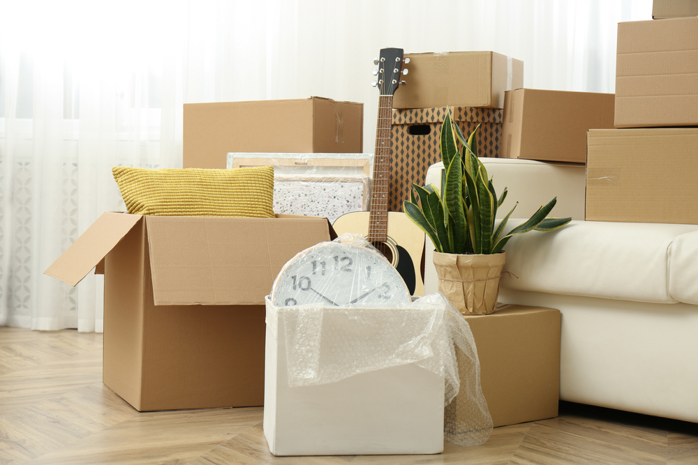 Cardboard,Boxes,,Potted,Plants,And,Household,Stuff,Indoors.,Moving,Day